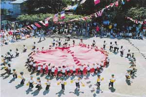 �p���o���[���ʐ^